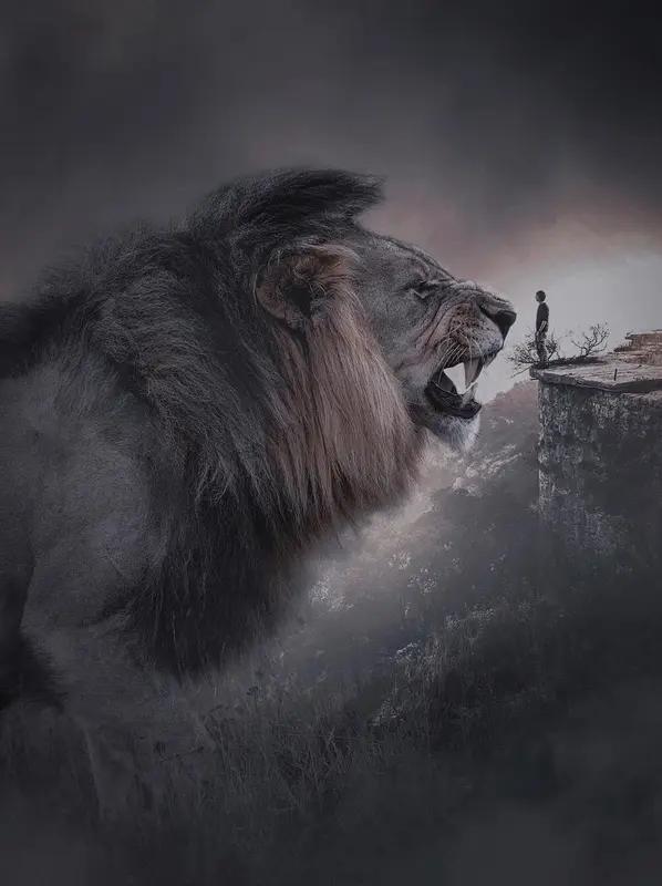 成功靠实力还是机遇？这问题就像先有鸡还是先有蛋，让人纠结。
其实，实力是根基，机