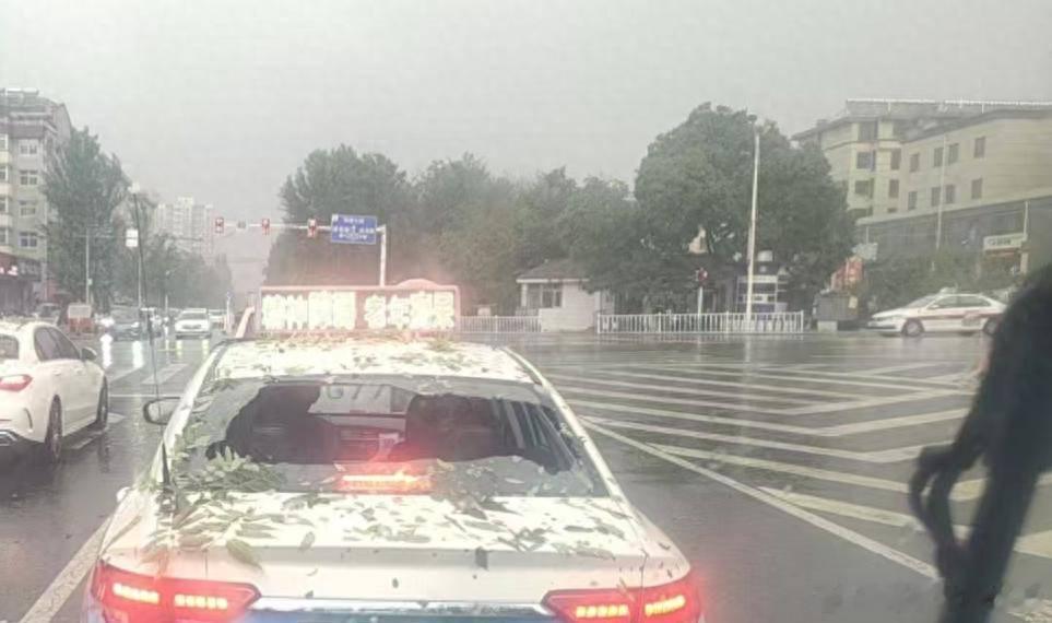 张家口下冰雹，个头如鹌鹑蛋！多辆汽车玻璃被砸成“筛子”------6月16日下午