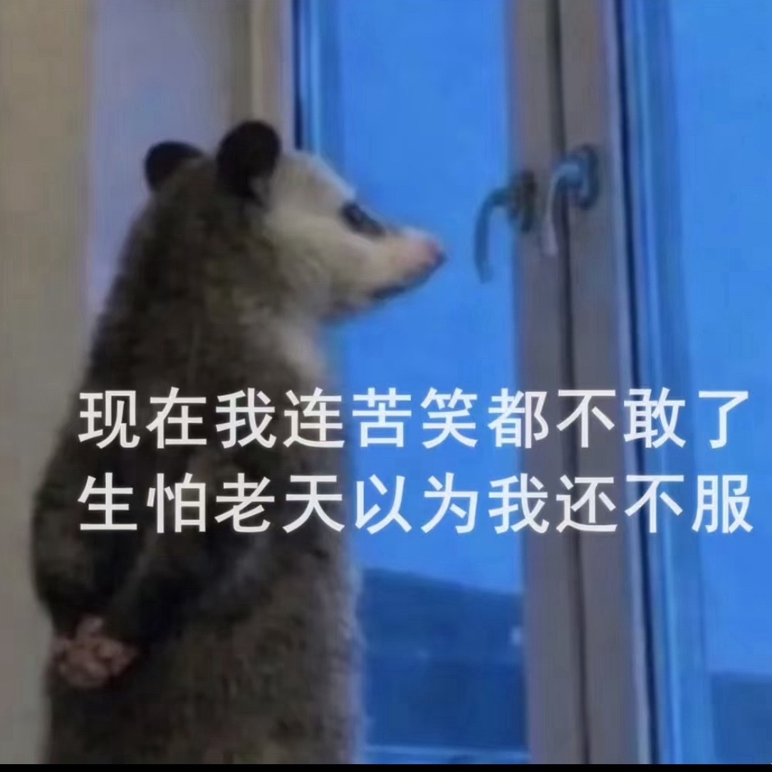 她们说被日一日ss就回来了，关键我也不推流了，ndzxjs都看不到我，不然你们日