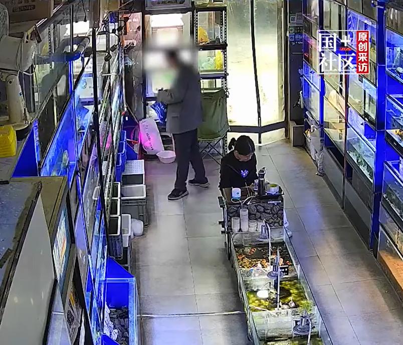这位大爷是真爱这只乌龟啊，一连几天都来店里围着乌龟转，终于下手了！
前不久，陕西