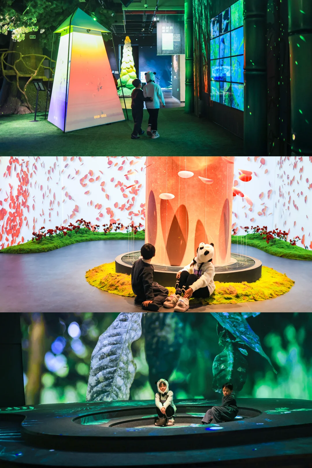 宁波遛娃天花板｜中国国家地理MAGZONE 攻略