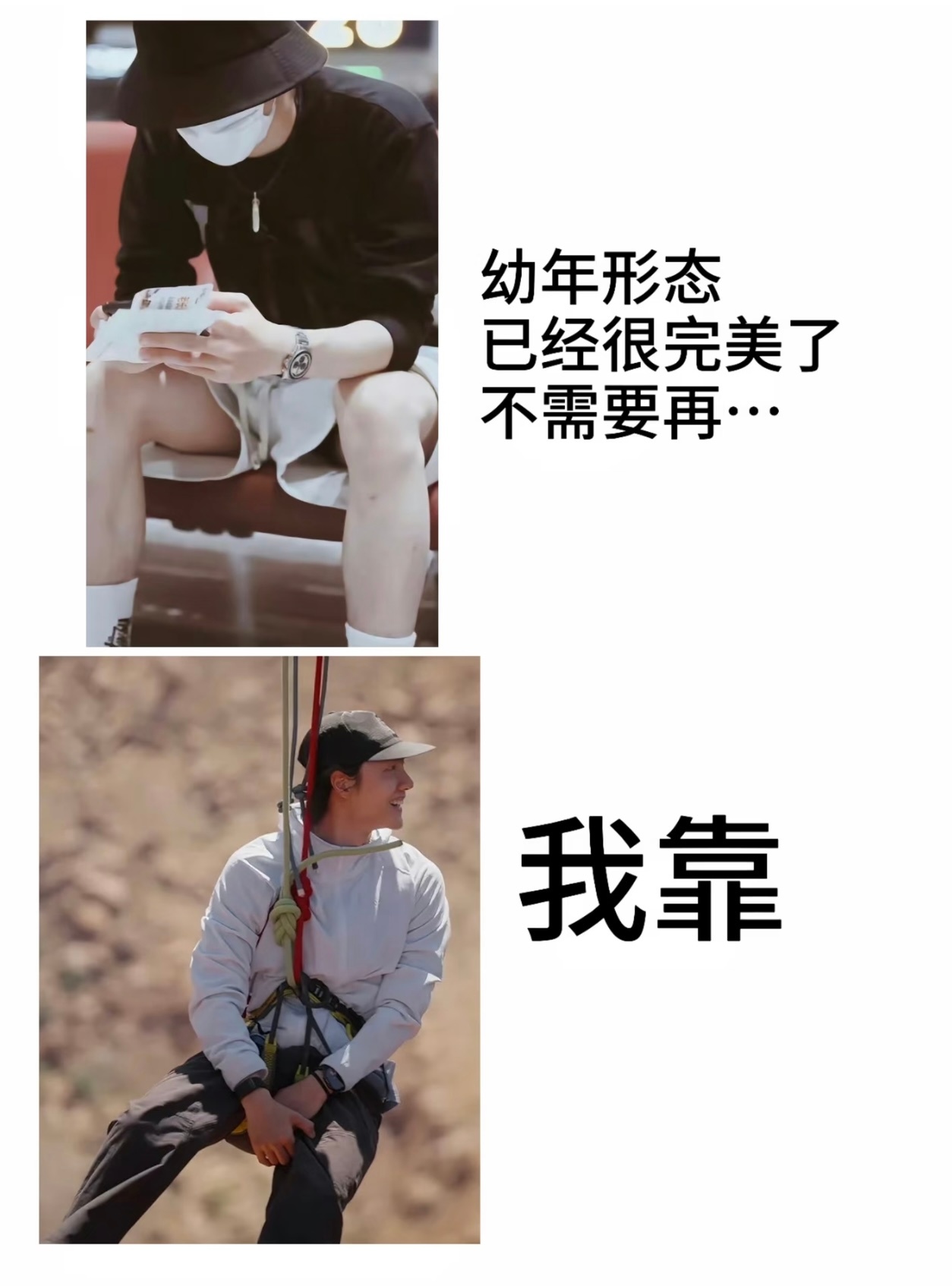 ？？？？真没招了