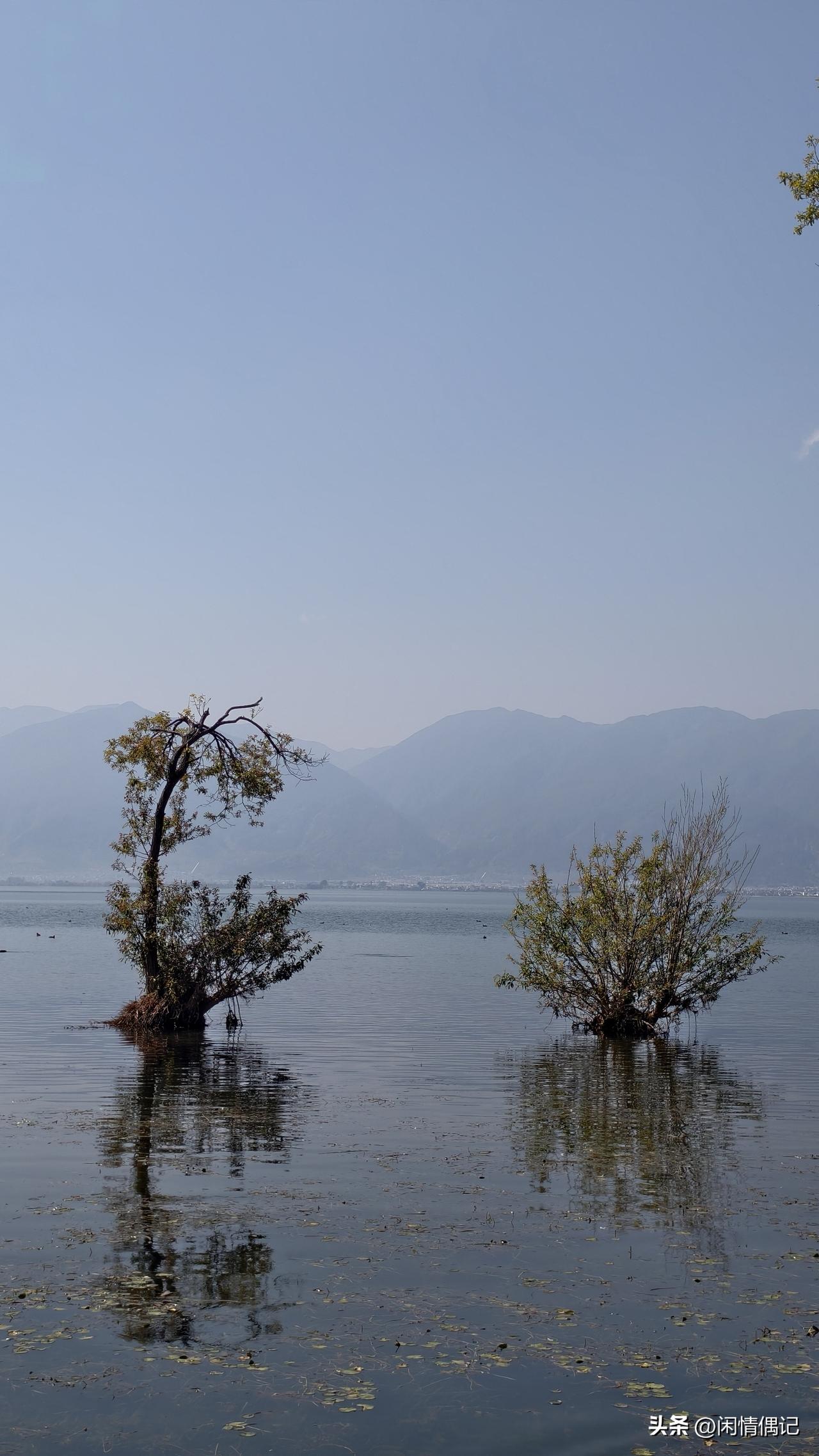 今天又被同事抢了功劳，换以前我肯定气得脸红脖子粗，饭都吃不下，非得找领导理论或者