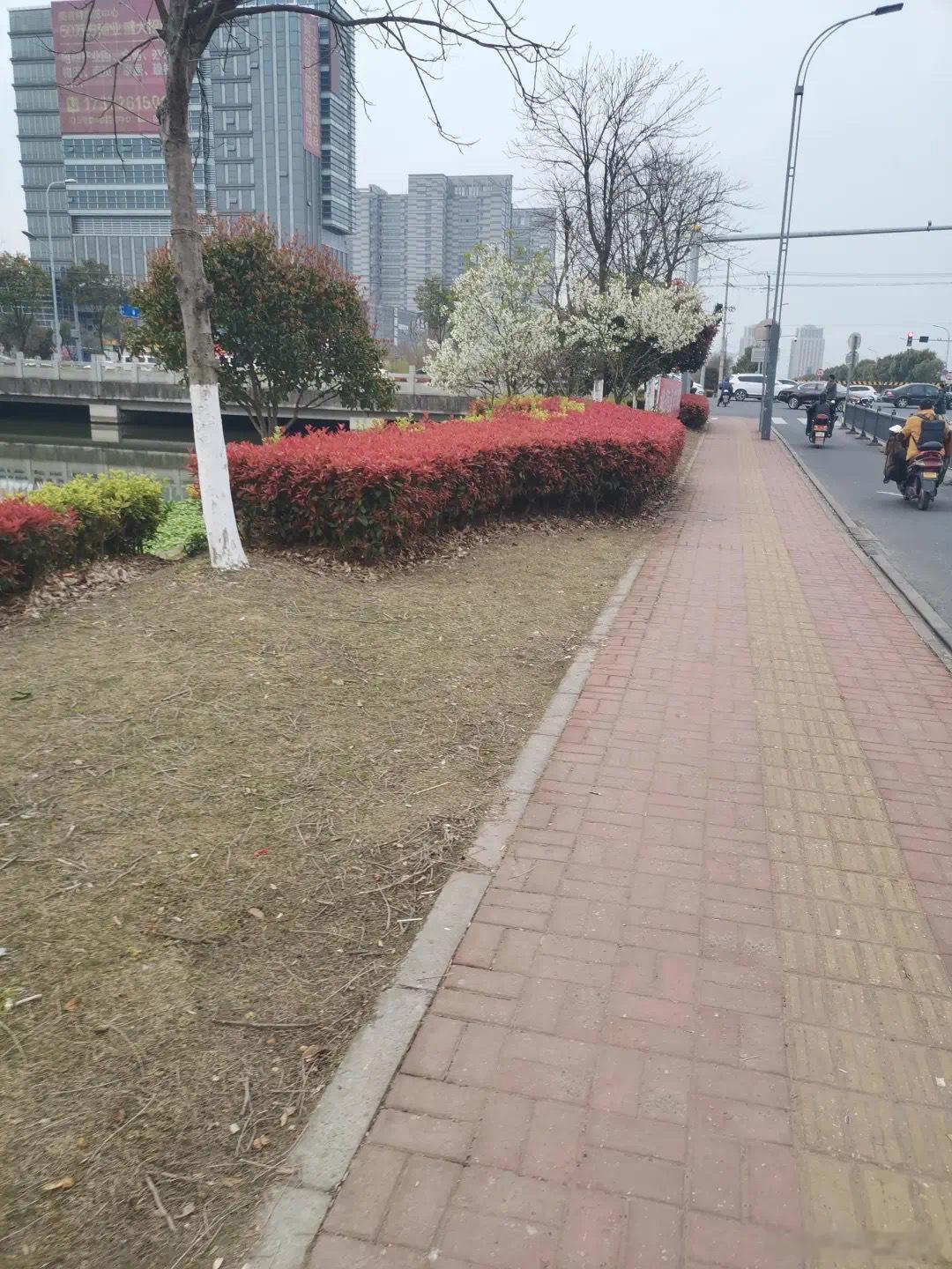 永远不要低估一个对吃有讲究的人·默斋主人原创散文人间真性情，多在松弛细微处。世人