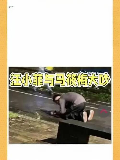 据台媒报道，汪小菲在台北雨中的下跪行为并非为了悼念前妻大S。实际上，他是在与现任