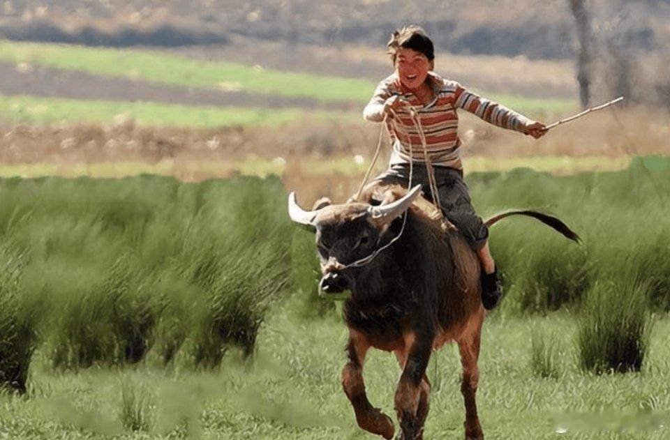 下午上新车！有兴趣的来私，评论 888走一波 