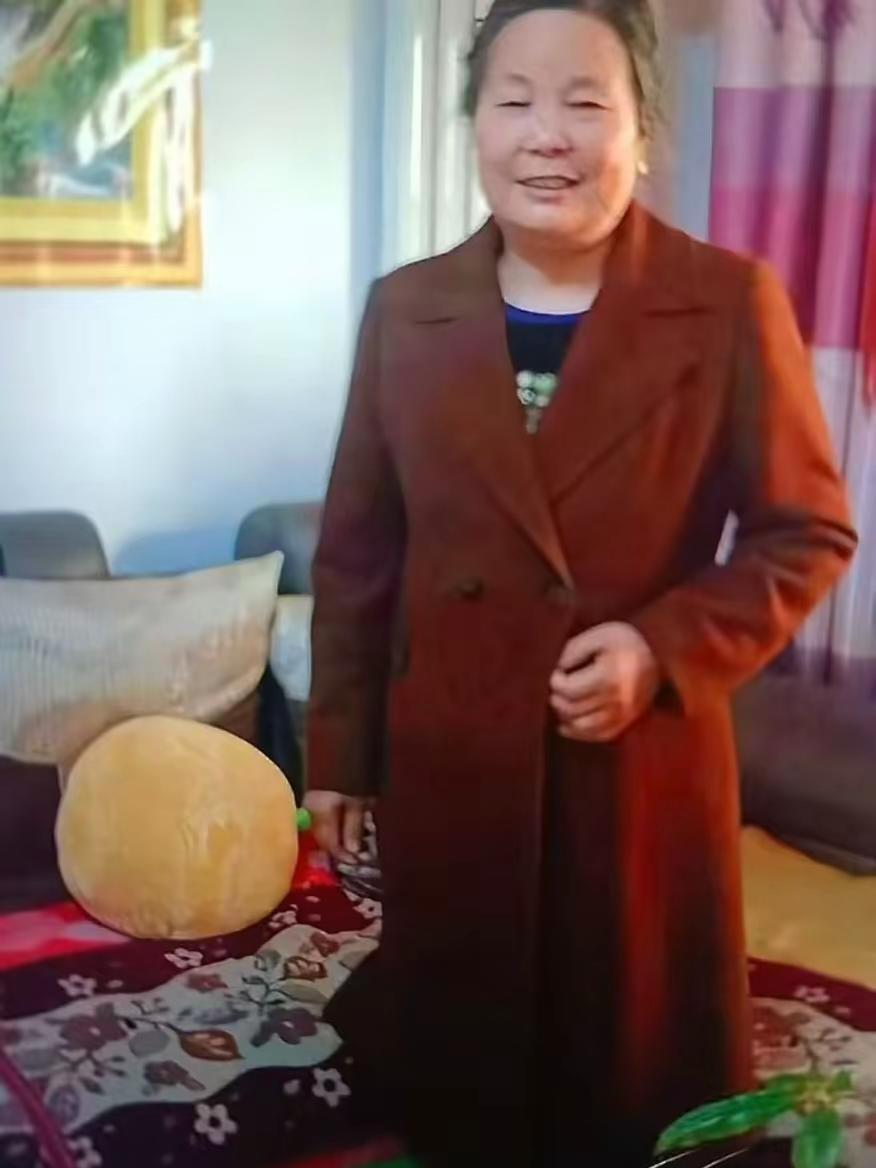 老人走失  紧急寻人。