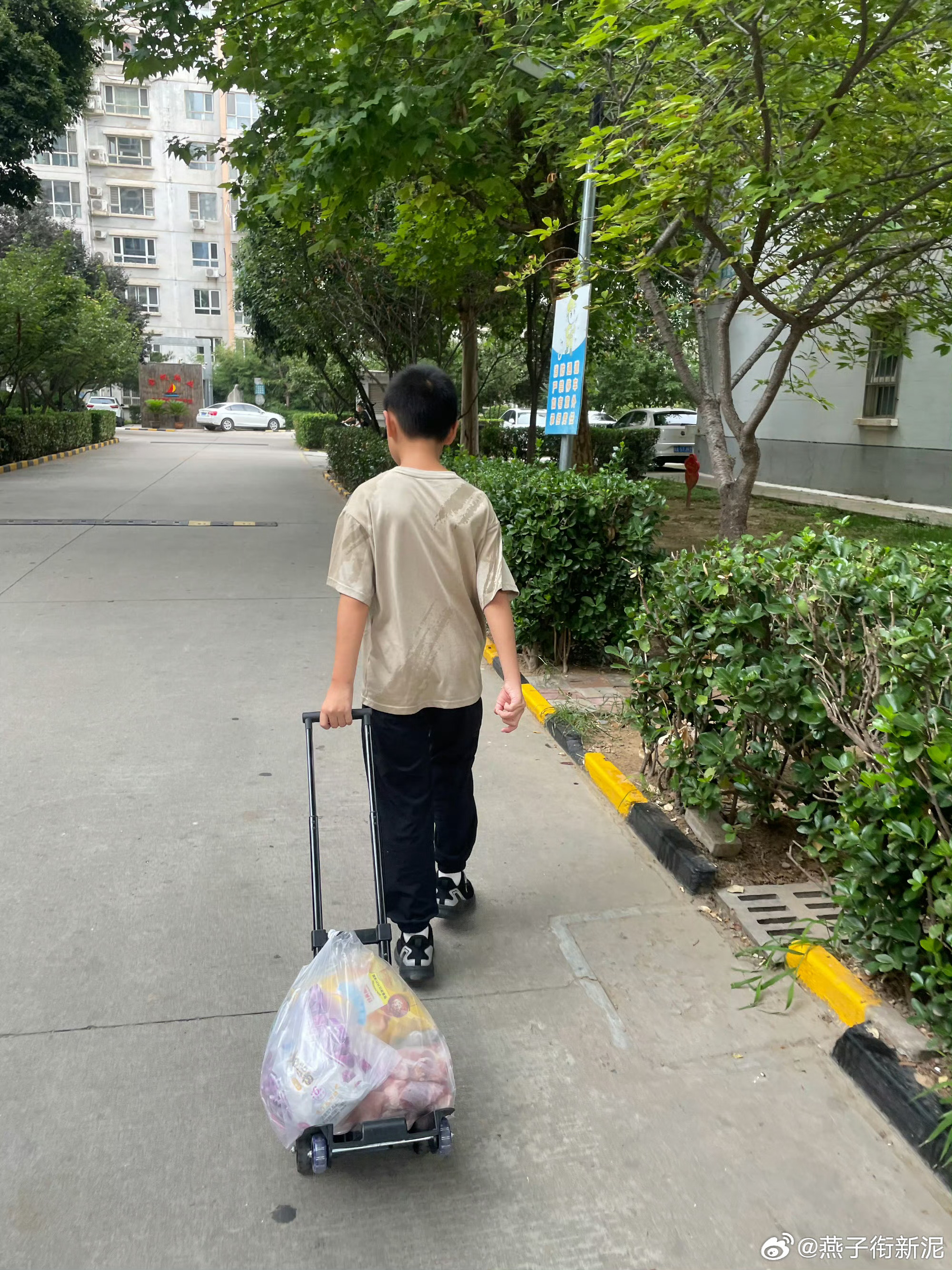 登登五天五夜没下楼了，昨天晚上被我逼迫下楼溜达了一圈，回来的路上我留在烟酒店和她