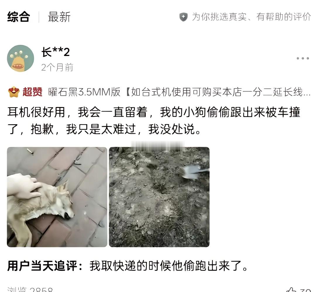高敏感共情者如同神农尝百草，尝尽世间苦涩，却难得一丝甘甜 