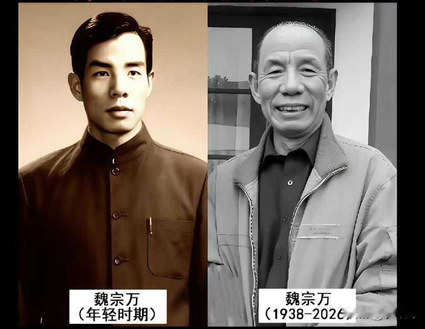 原来年轻时的魏宗万还是一名帅哥，可以媲美现在的小鲜肉。他是三毛从军记里面的老兵，