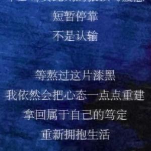 人生感悟 “我短暂停歇，亦会再度升起” 加班结束、走出夜色笼罩的街道 忽然读懂了