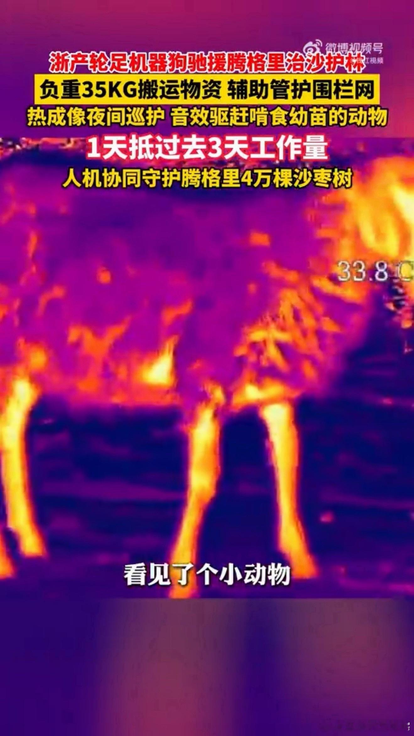 浙产机器狗去内蒙古帮忙治沙了硬核科技奔赴腾格里沙漠助力治沙🌱阿拉善的沙漠地表高