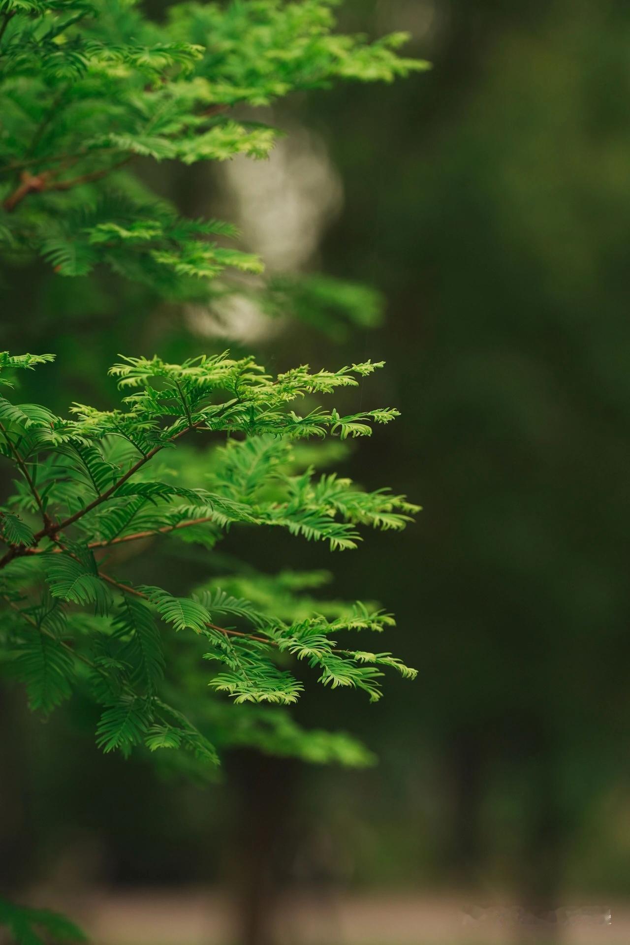 天蝎座很难被pua
当你开口说出带套路的第一句话，
他们已经警铃大作，
这种直觉