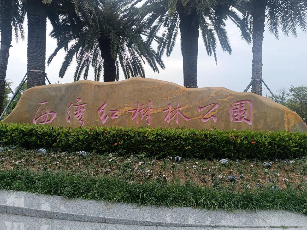 #秋日风景打卡# 
宝安西湾红树林公园
近看水中红树林，远观沿江高速。
静谧江面