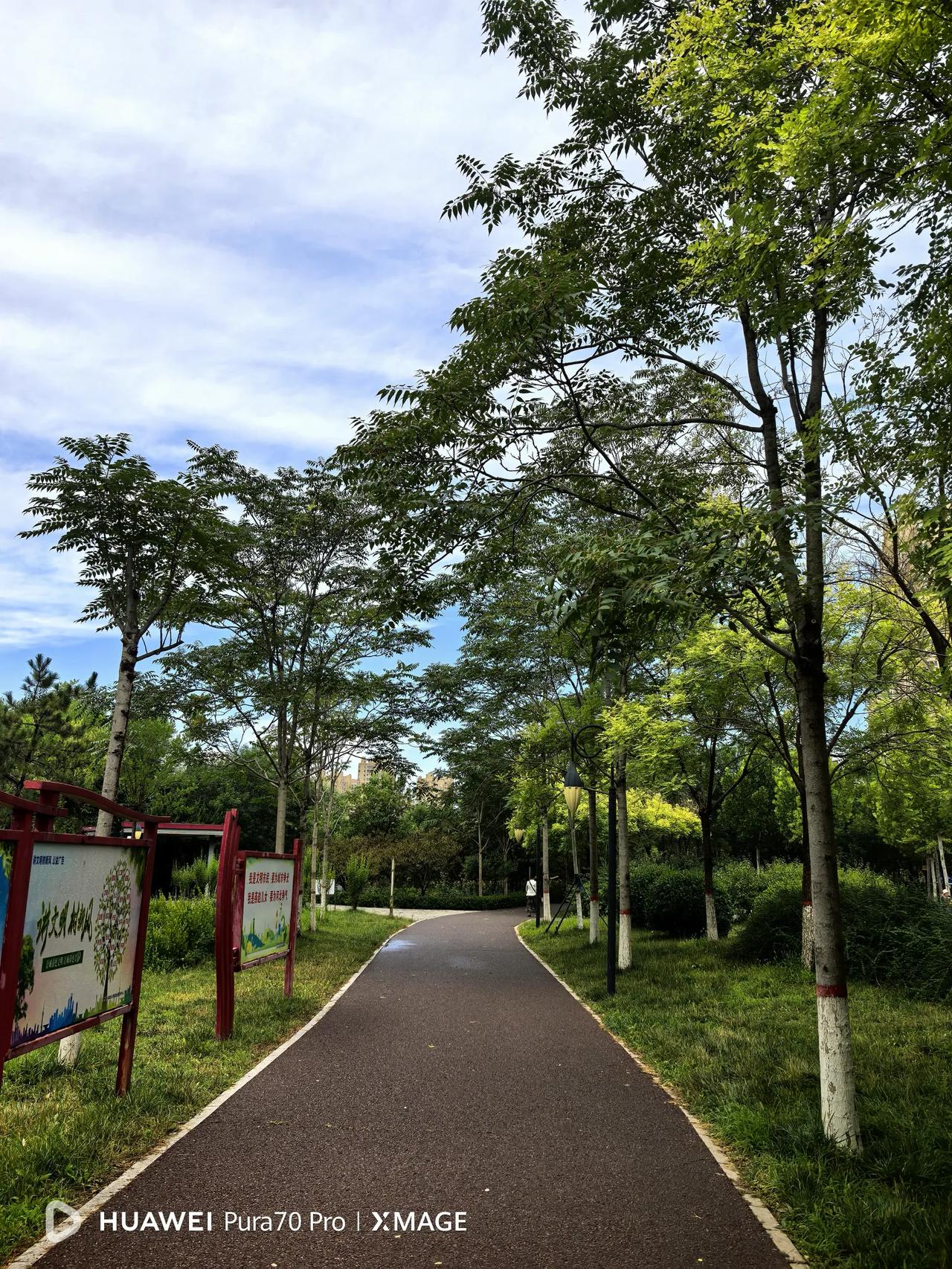 人老了记住两点，一是积蓄不要提前全部交给子女，以备不时之需；二是手里永远要留一套