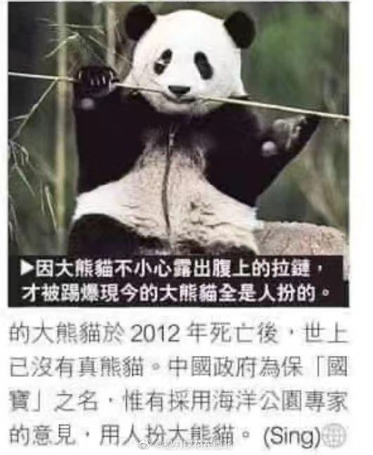 不愧为蛙蛙，让我们的生活充满了欢乐。来，告诉你们真相，各位有所不知，那竹子还是用