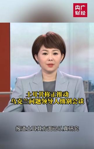 俄新社4月27号援引消息人士的话报道，土耳其方面已经认真研究了俄方关于可能举行乌