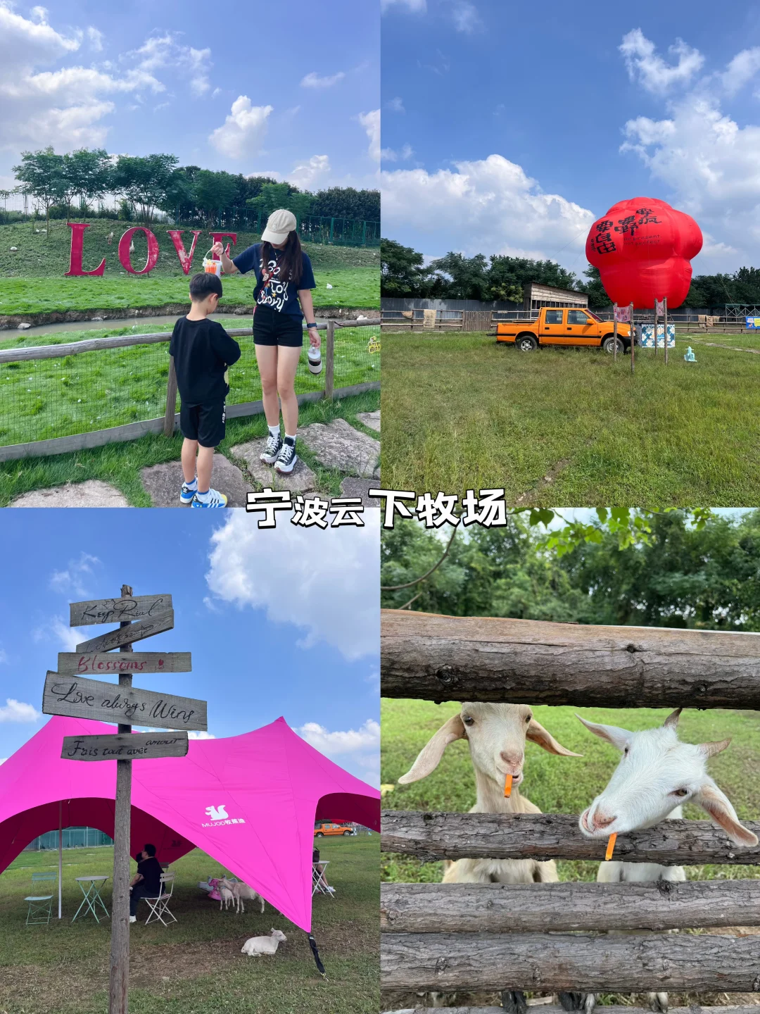 宁波云下牧场 ｜一个遛娃很舒服的地方
