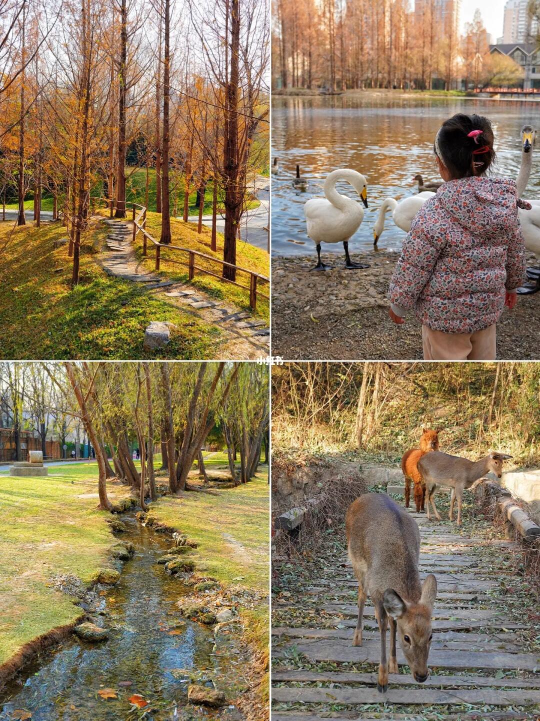 北京冬季户外遛娃好去处❗️很近还免费