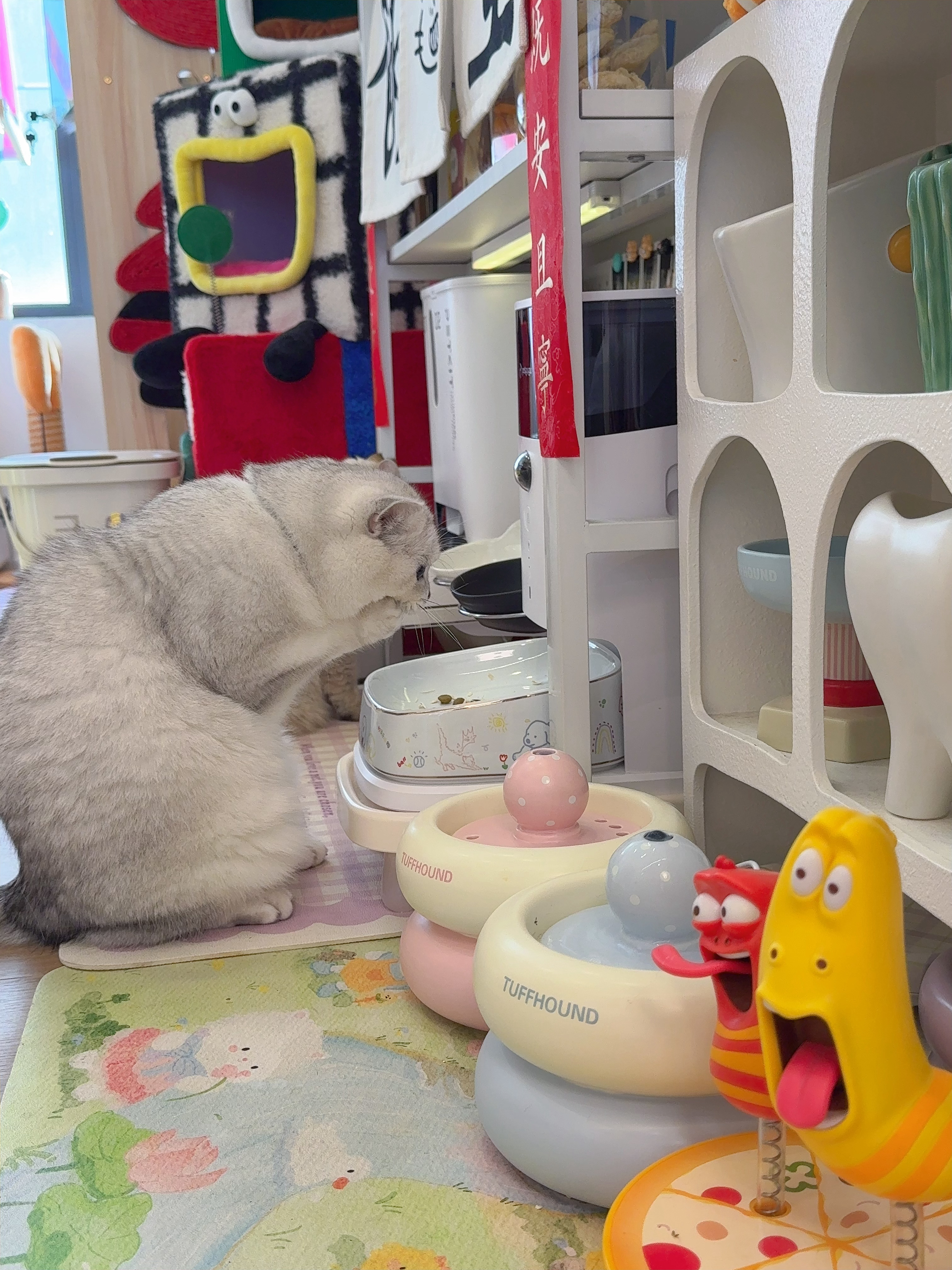 猫粮坏