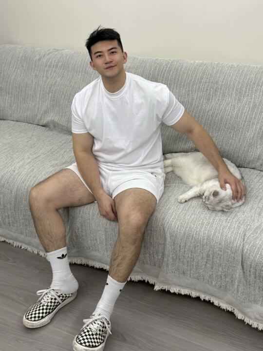 猫和我 你选谁
