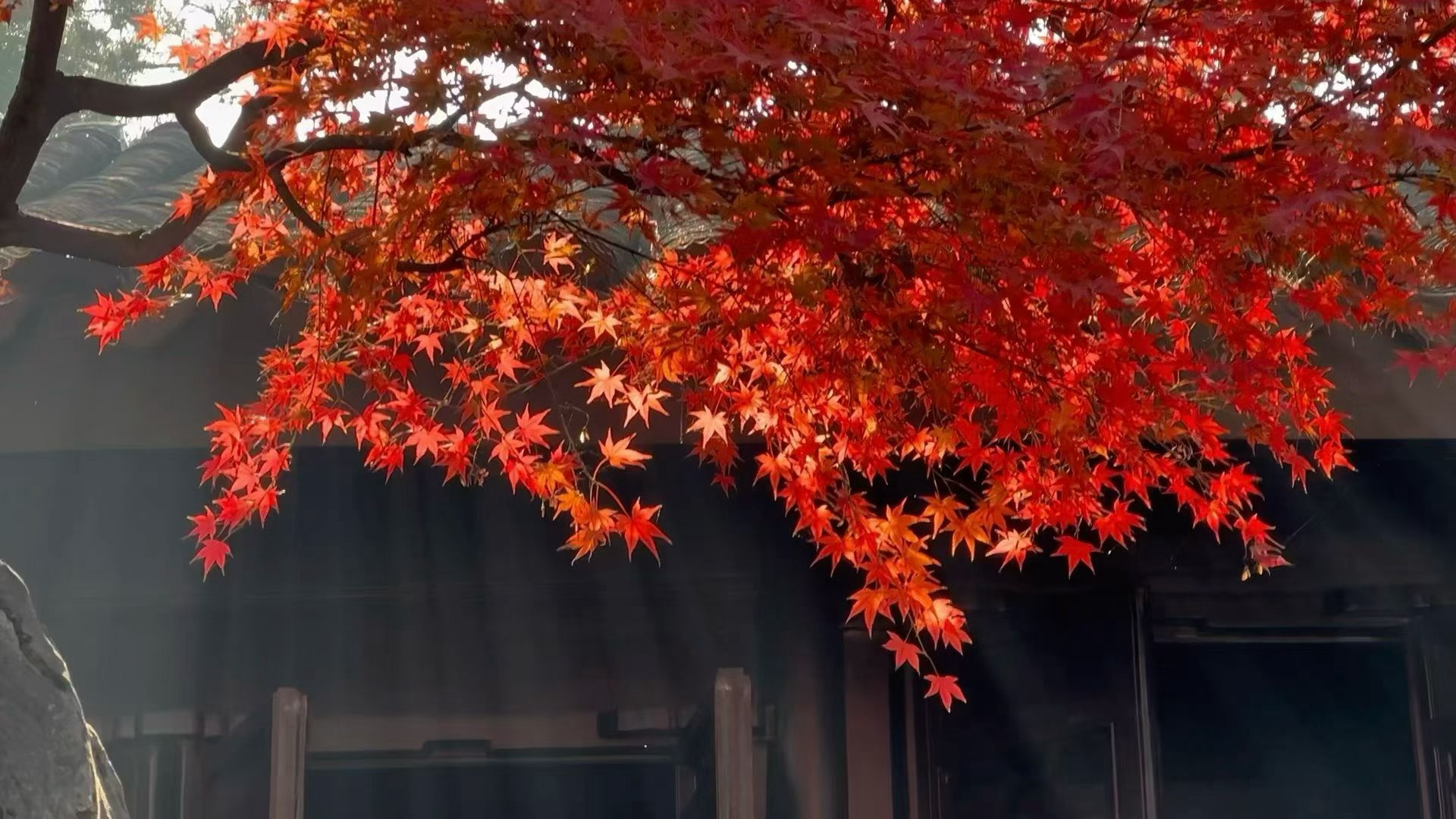 杭州两日游，趁着爸妈休班一家人出游，松鼠桂鱼吃了，怎么淡季人也这么多