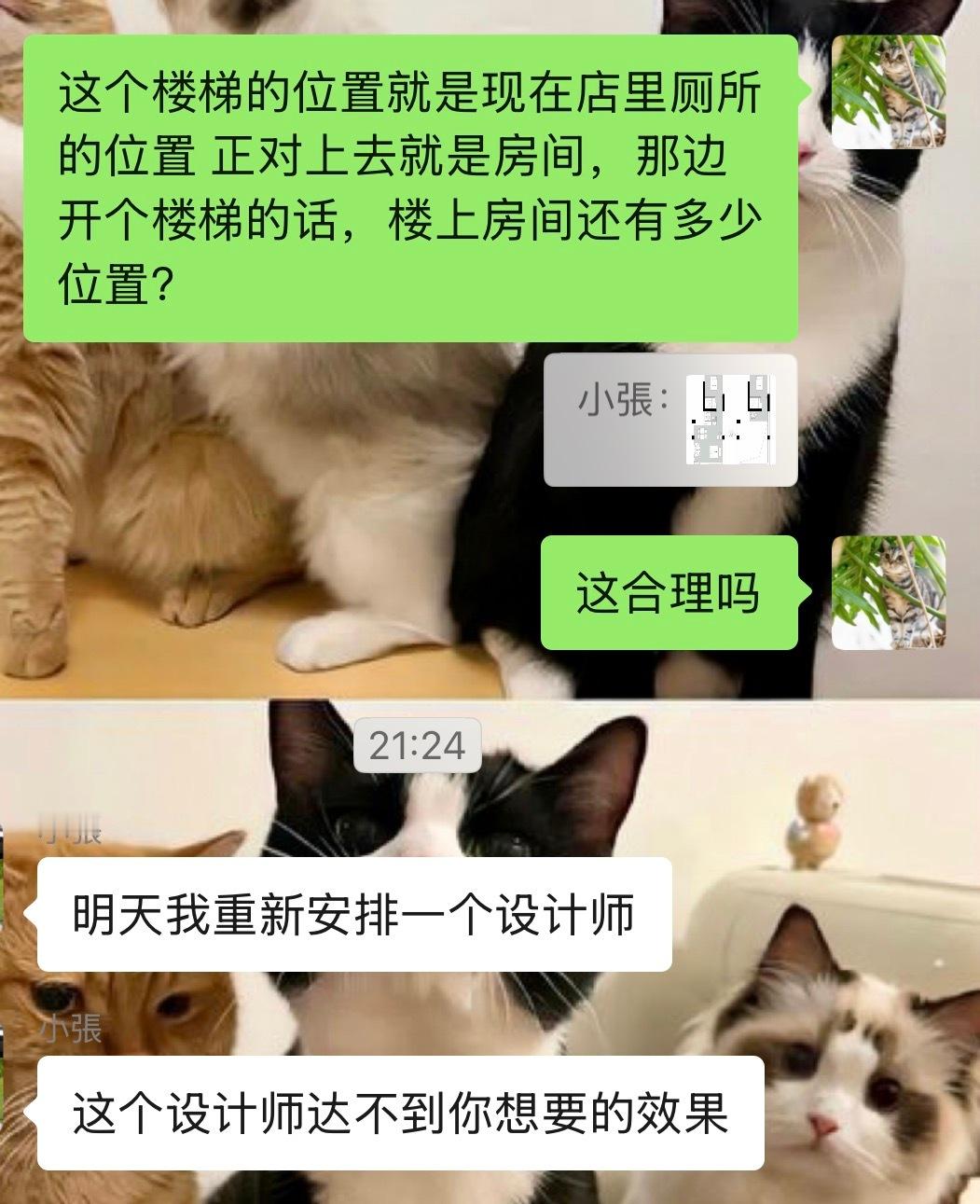 骂跑了一个设计师做甲方真该（爽）死啊（x 