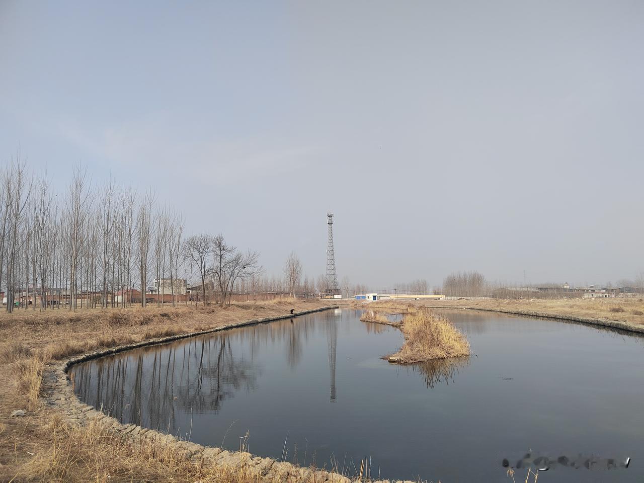 昨天没有雨没有雪，是风平浪静的一天，只是不知道在那风平浪静当中是否有蚂蚁驾驶树叶