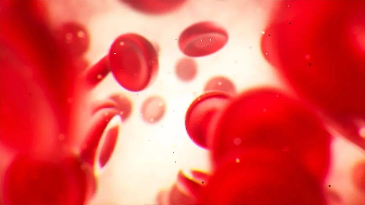 这4种血液病最难搞，每一种的棘手点都不一样，早了解早心里有数

血液病有很多种，