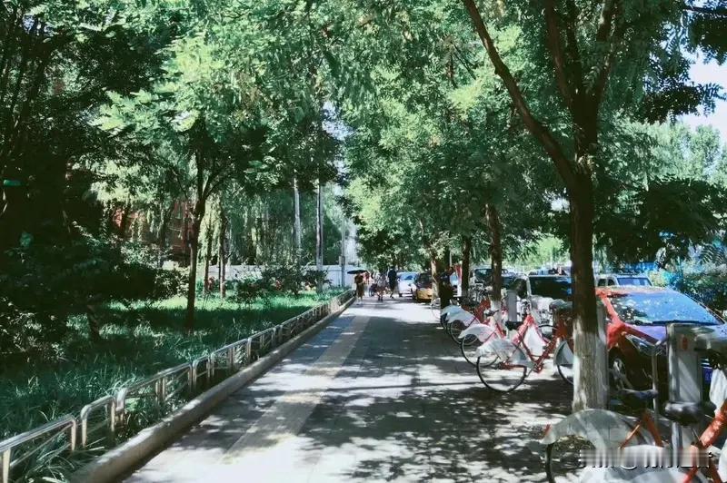 手中有粮，心中不慌。在这个经济寒冬里，许多人都在为收支平衡发愁，甚至负债前行。朋