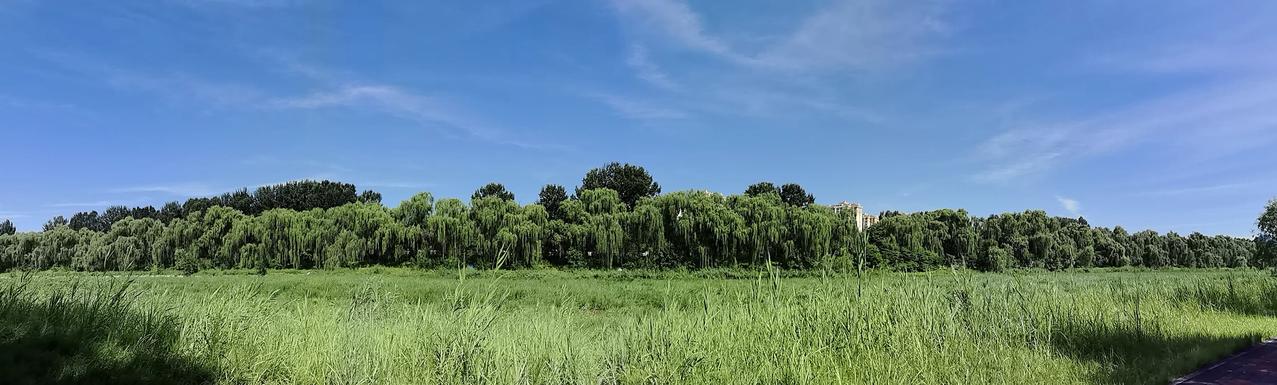 洳河绿茵
全景模式拍摄