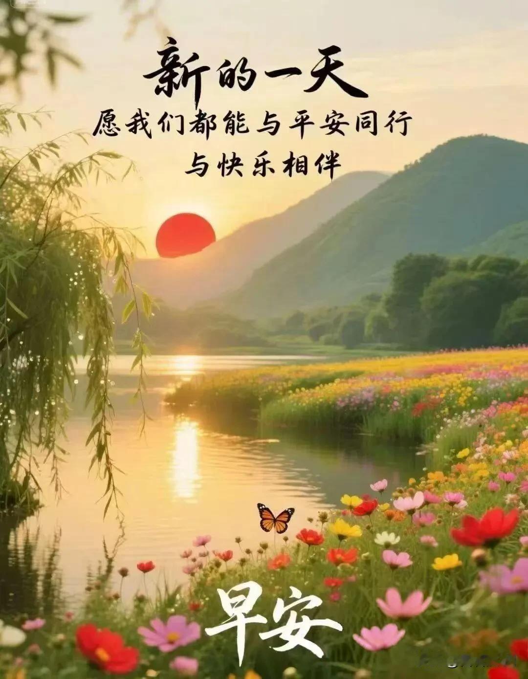 收集清晨第一缕阳光，赠予今日闪闪发光的你，早上好✨