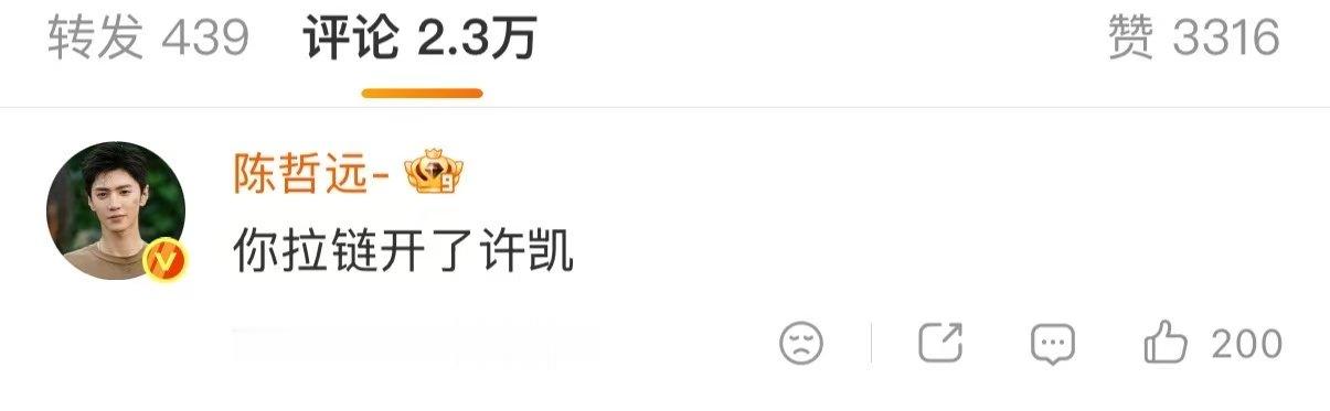 陈哲远从粉丝学的招用许凯身上了陈哲远被骗又去骗许凯 哈哈哈哈哈！陈哲远之前直播被