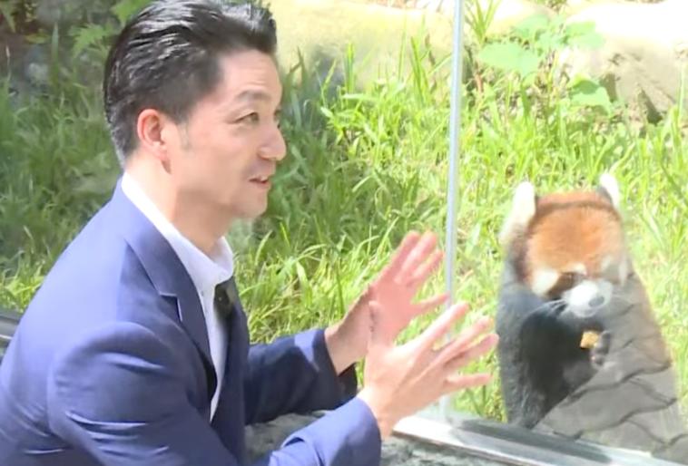 上海小猫熊首次亮相！ 蒋万安亲曝名字：甜甜、乐乐

2024年双城论坛台北、上海