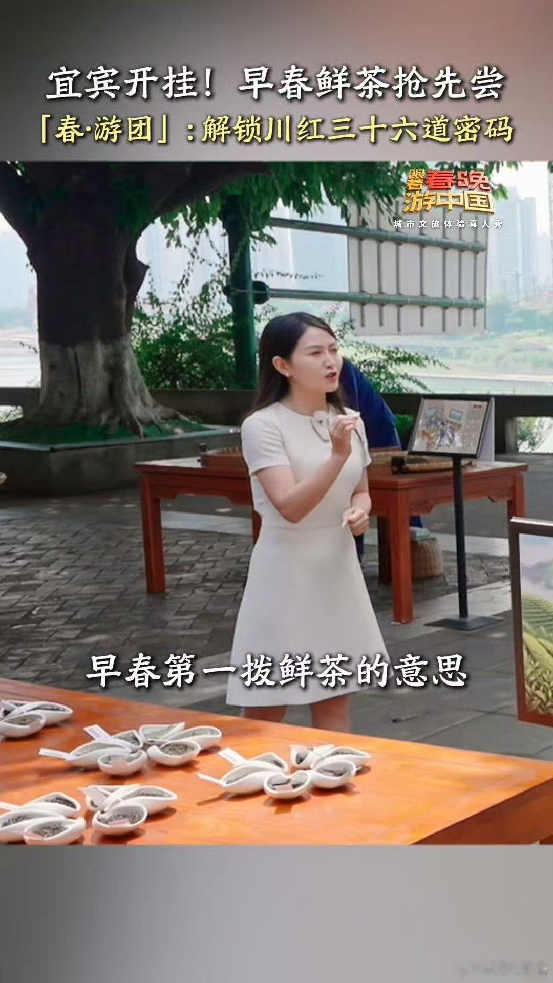 茶里有属于宜宾的时间哲学跟着春晚游中国最难得的生活哲学藏在宜宾的茶里，不慌不忙，