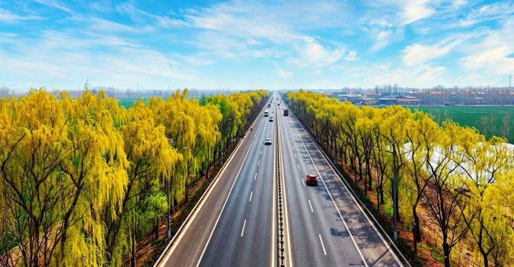 临沂：路畅景美激活春日经济