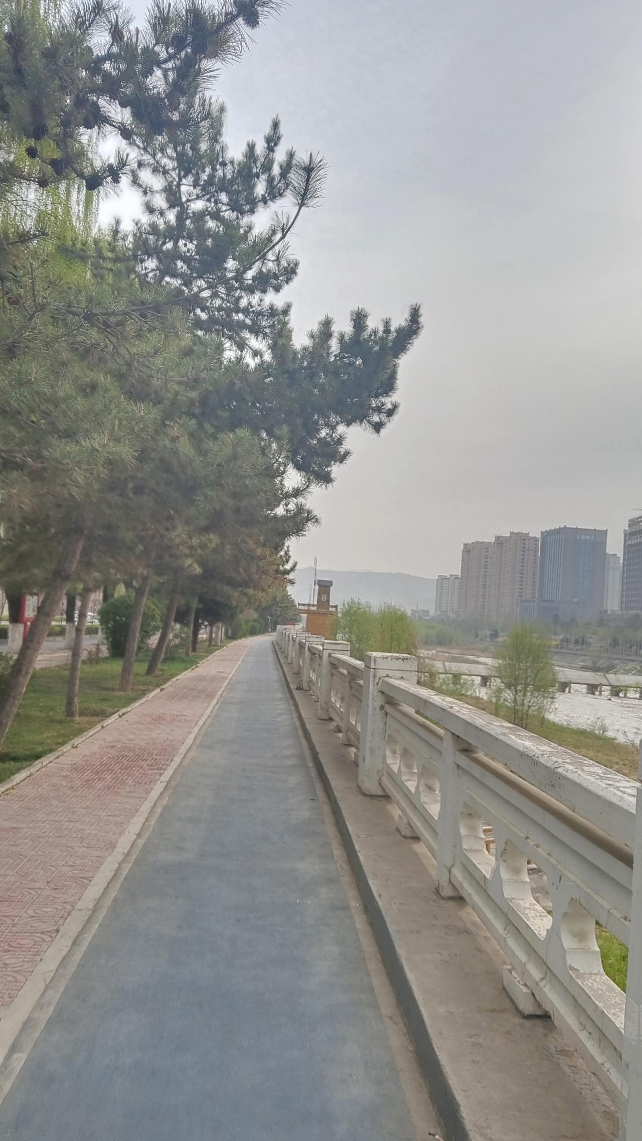 晒图笔记大赛 晨跑打卡，绿树成荫，心情舒畅！🌳🏃‍♀️