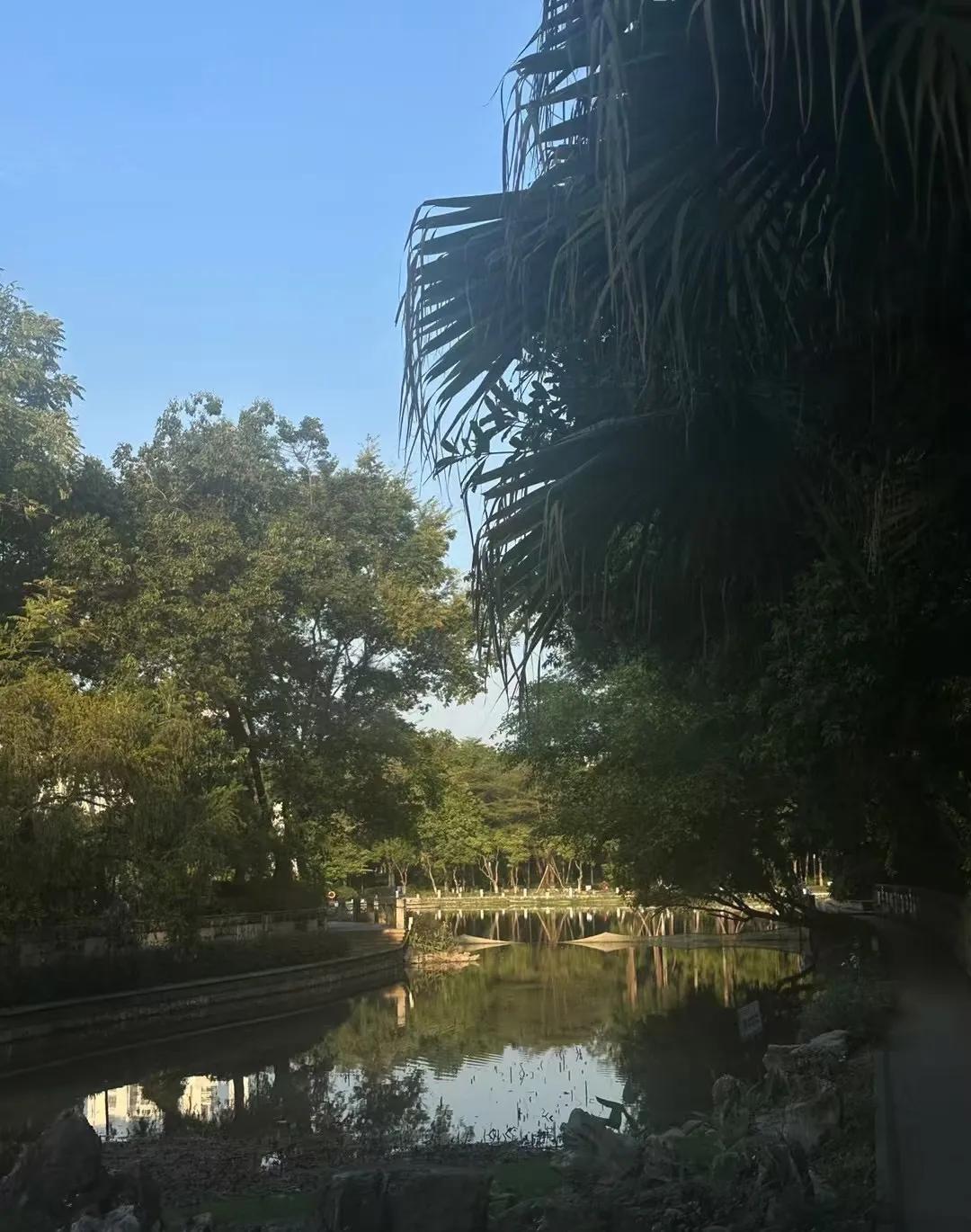 你还别不相信，乡下老家最有钱的人，居然是那个卖牛肉的贩子。
乡下老家最有钱的人，