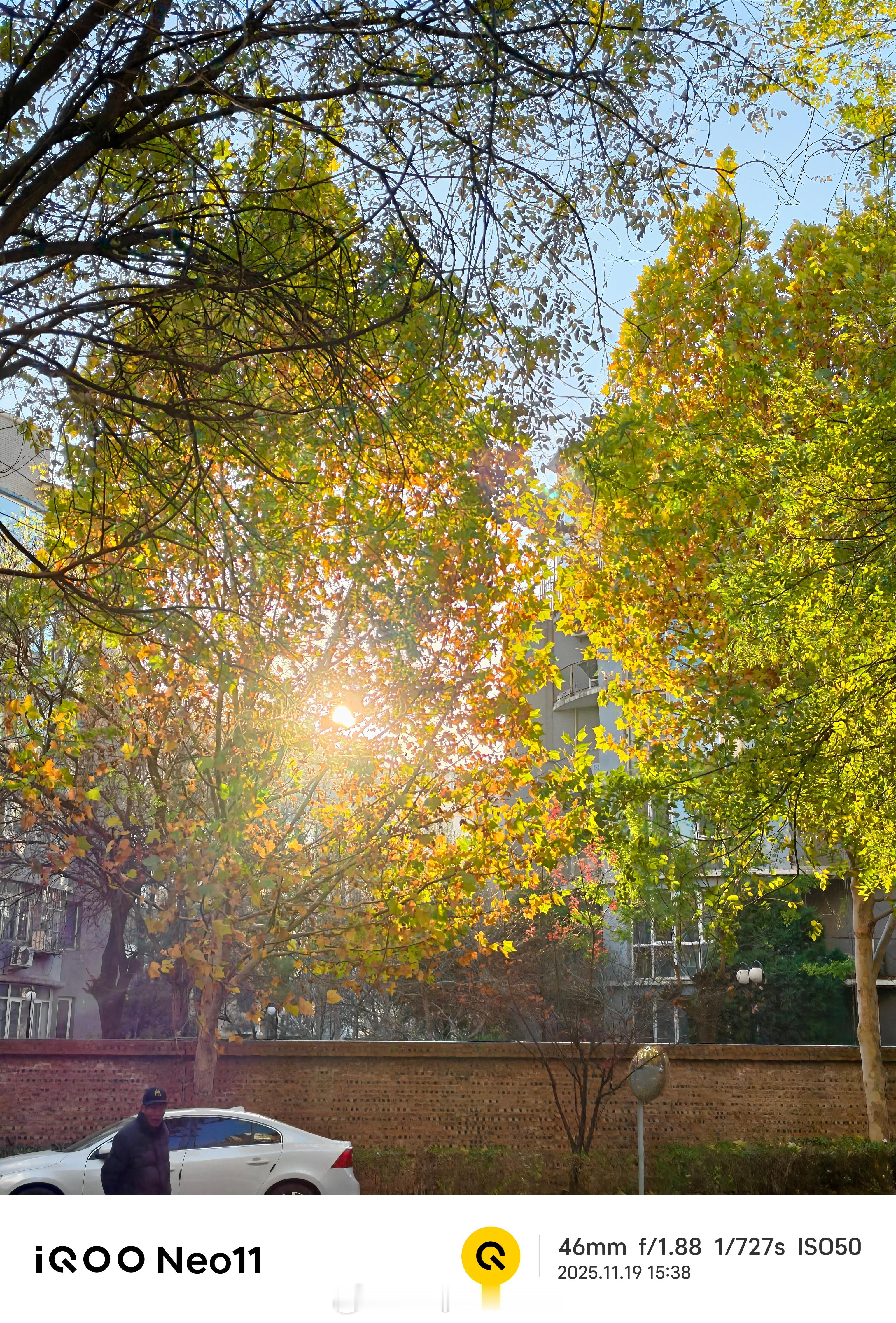 出门用iQOO Neo11随手拍真是随手出大片。自从更新了最新的系统之后成像效果