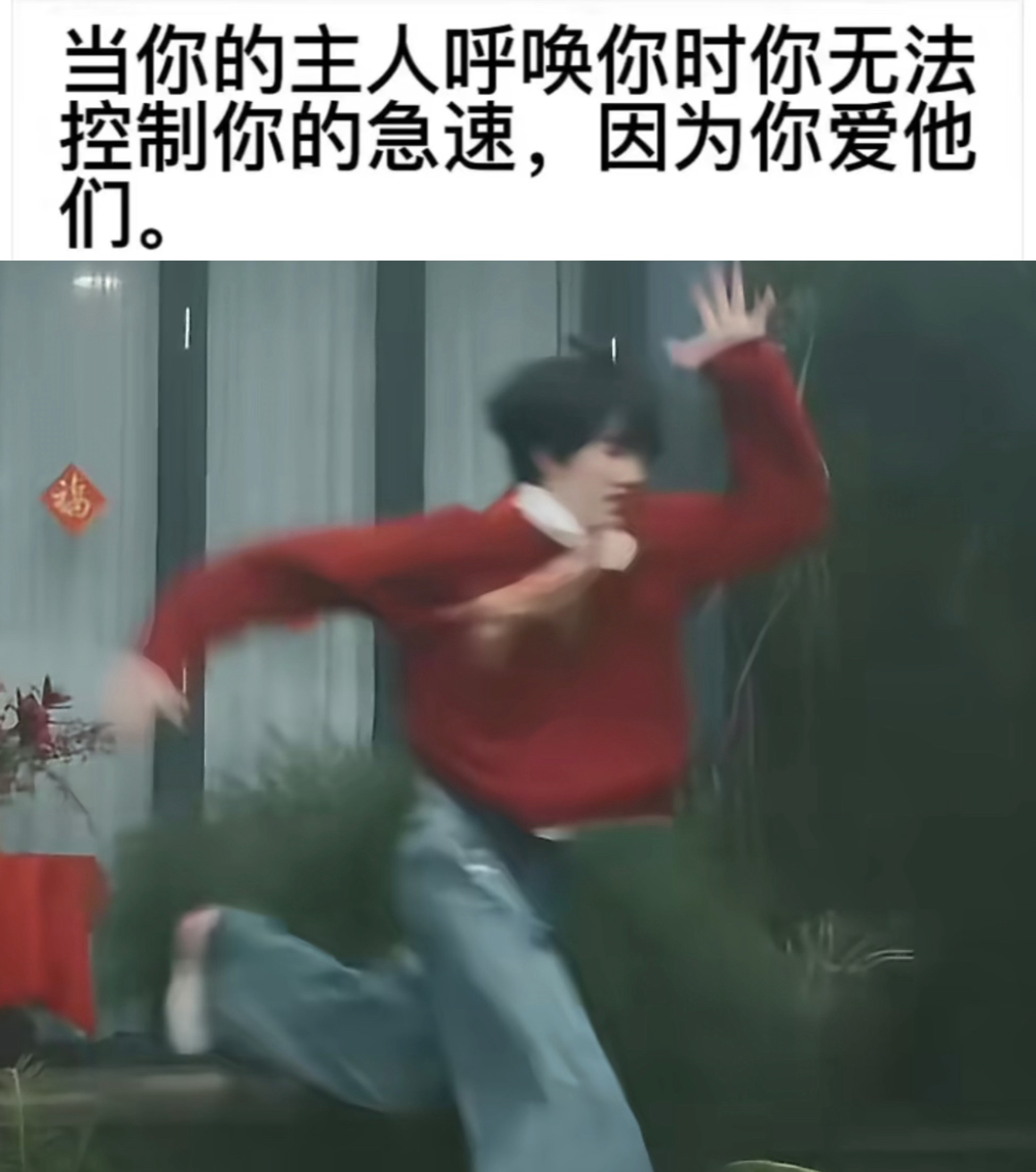 李煜东  meme2.0！全世界再也找不到比东东更可爱的人了！ ᓀ‸ᓂ 