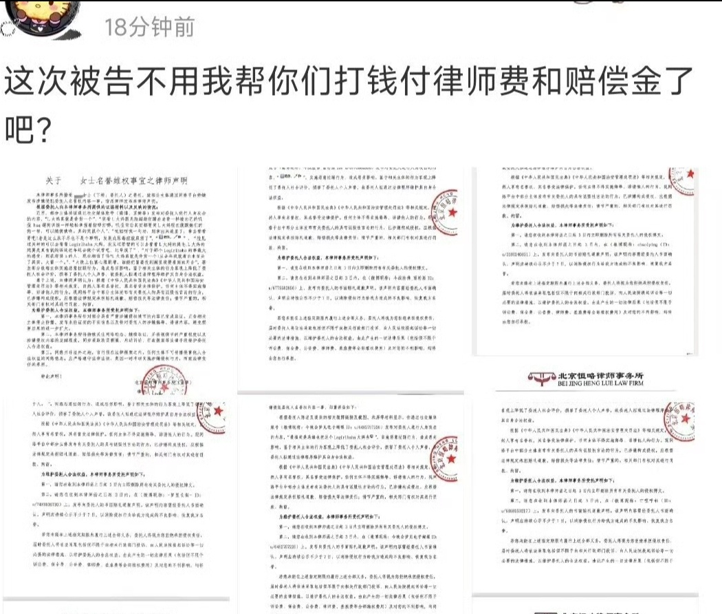 丽的那个富婆粉告了丽粉确实，这次没人给付律师费了 ​​​