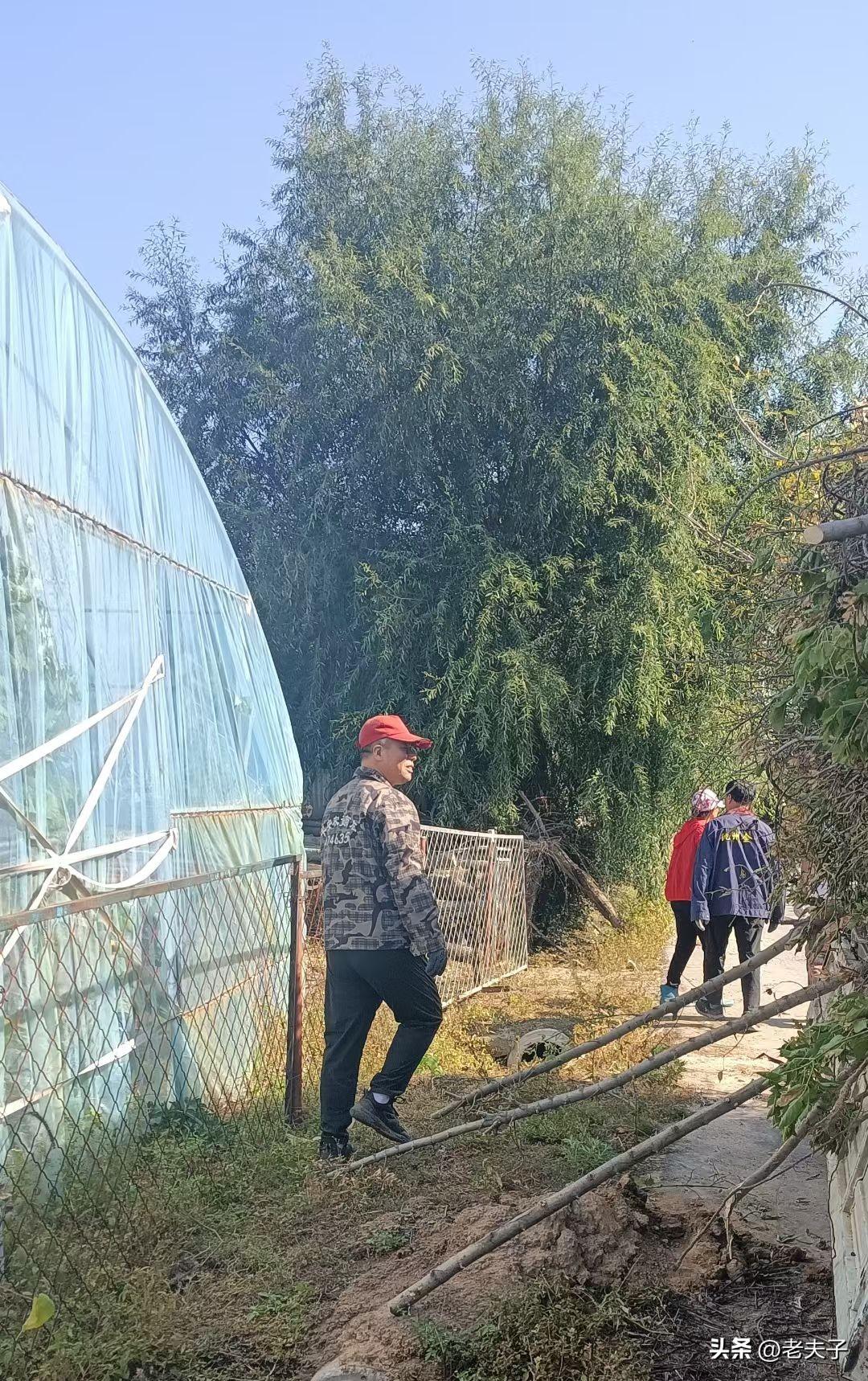 原创随手拍之（2871）
吉林省梅河口市新合镇茂林村五队、茂富屯。
茂富屯是茂林