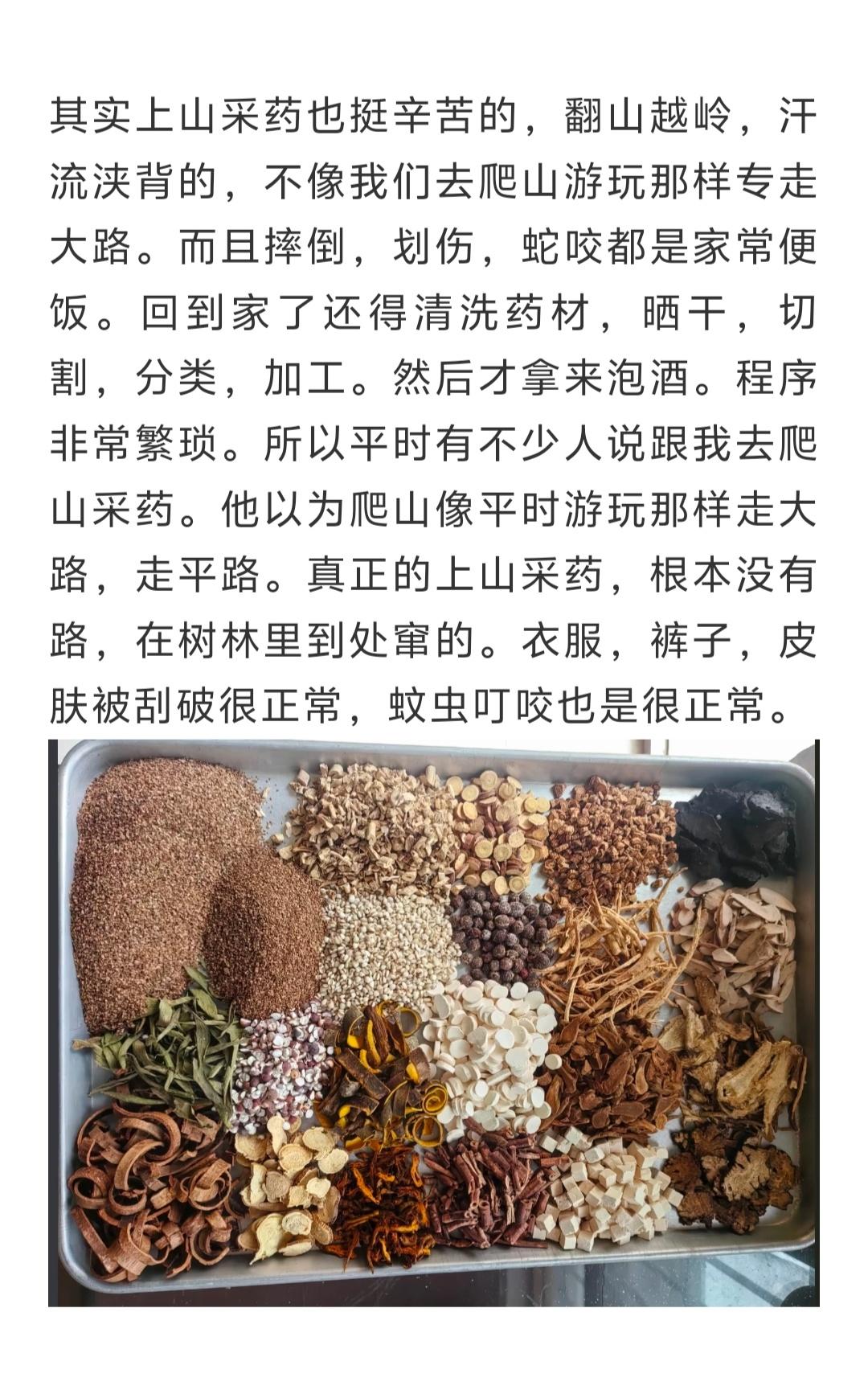 其实上山采药也挺辛苦的，翻山越岭，汗流浃背的，不像我们去爬山游玩那样专走大路。而