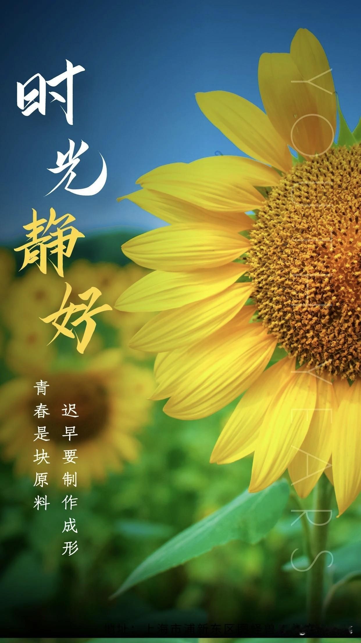 人生谁能全如意，关键是要敢做精神上的强者。狂风暴雨中，哪怕被吹倒了，人也要敢于在