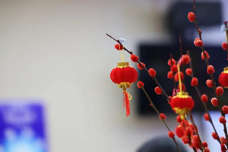 今年的表现较往年逊色不少，从镜头里看，不得不承认岁月不饶人。所选歌曲也差强人意，