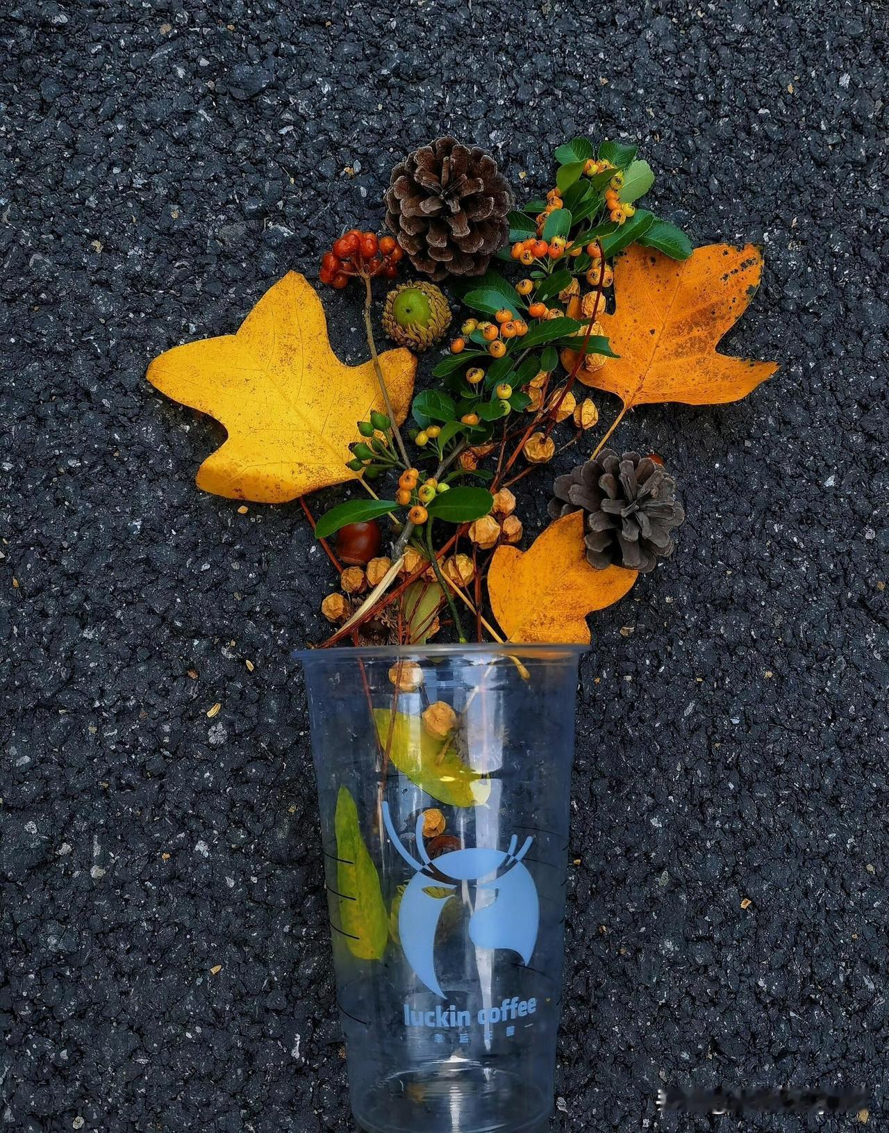 头条粉丝终于过900，
今天一起来打开头条，
发现又多了十几个关注，
由于最近更