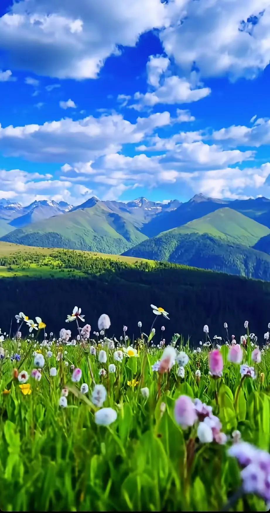 普通人想要成功应该学习《天道》中的肖亚文！
如果把整本《天道》看成都是肖亚文设的