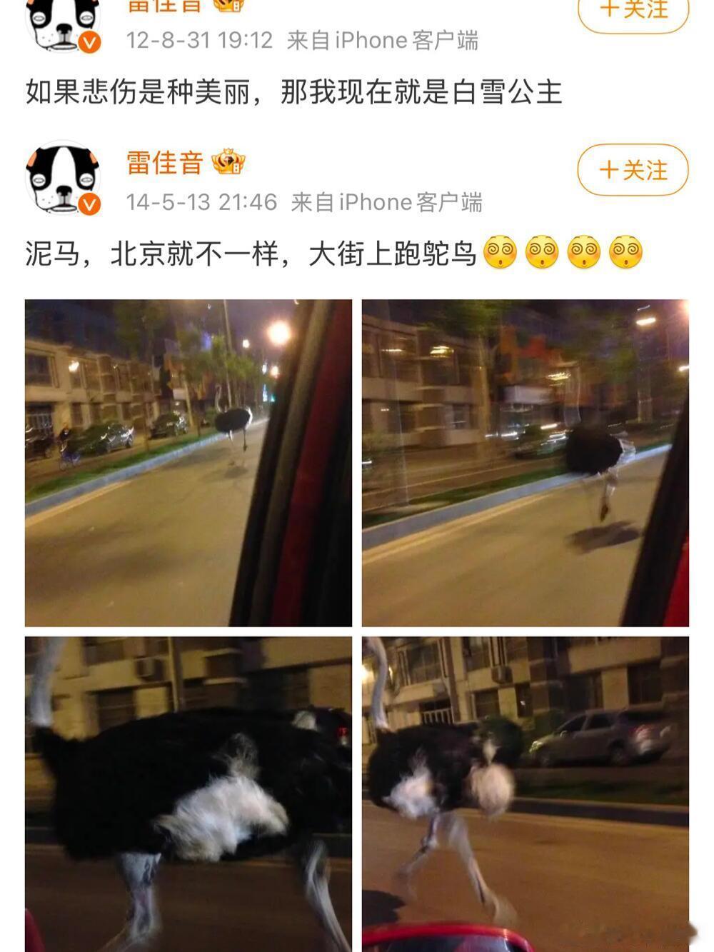早期的雷佳音，拿微博当朋友圈发