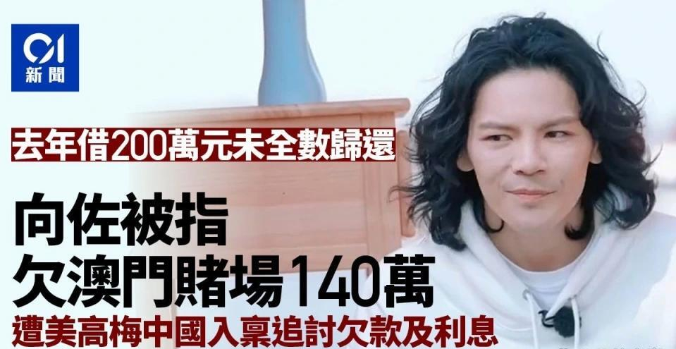 向佐并非澳门赌场借款的欠款人，而是为第三方提供的信用担保人。美高梅中国澄清事实，