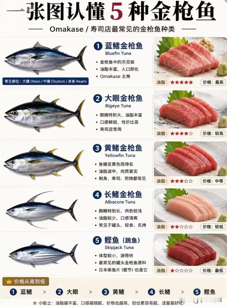 一张图看懂5种金枪鱼
其实，金枪鱼分两层概念：真金枪鱼（金枪鱼属 Thunnus